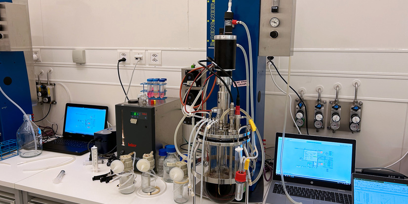 Bioengineering RALF bioreactor – mammalian or microbial