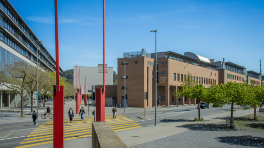 card-image